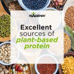 About Pea Protein